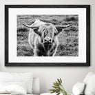 Highland Cow Staring Contest by Nathan Larson on GIANT ART - white animals highland cattle