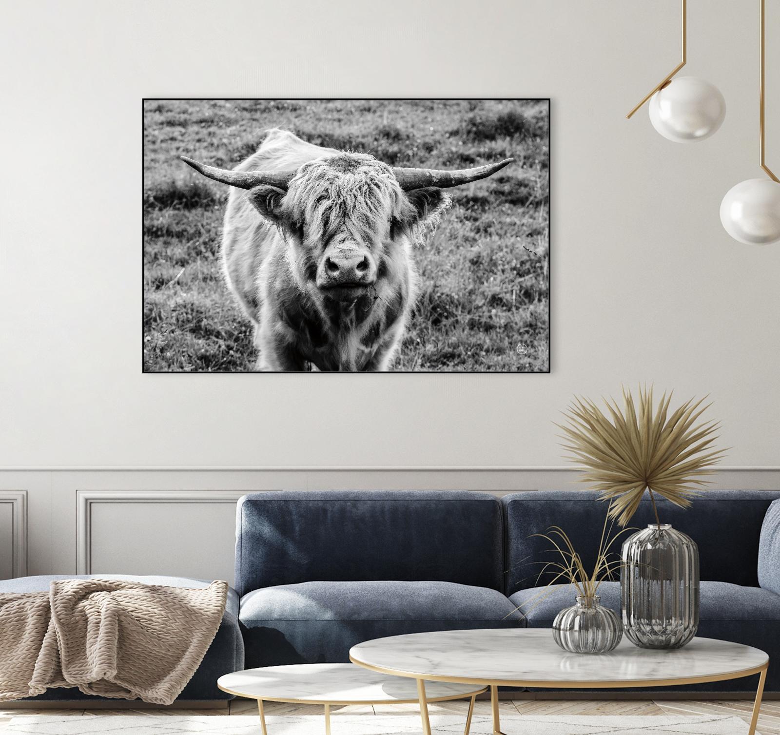 Highland Cow Staring Contest by Nathan Larson on GIANT ART - animals animals