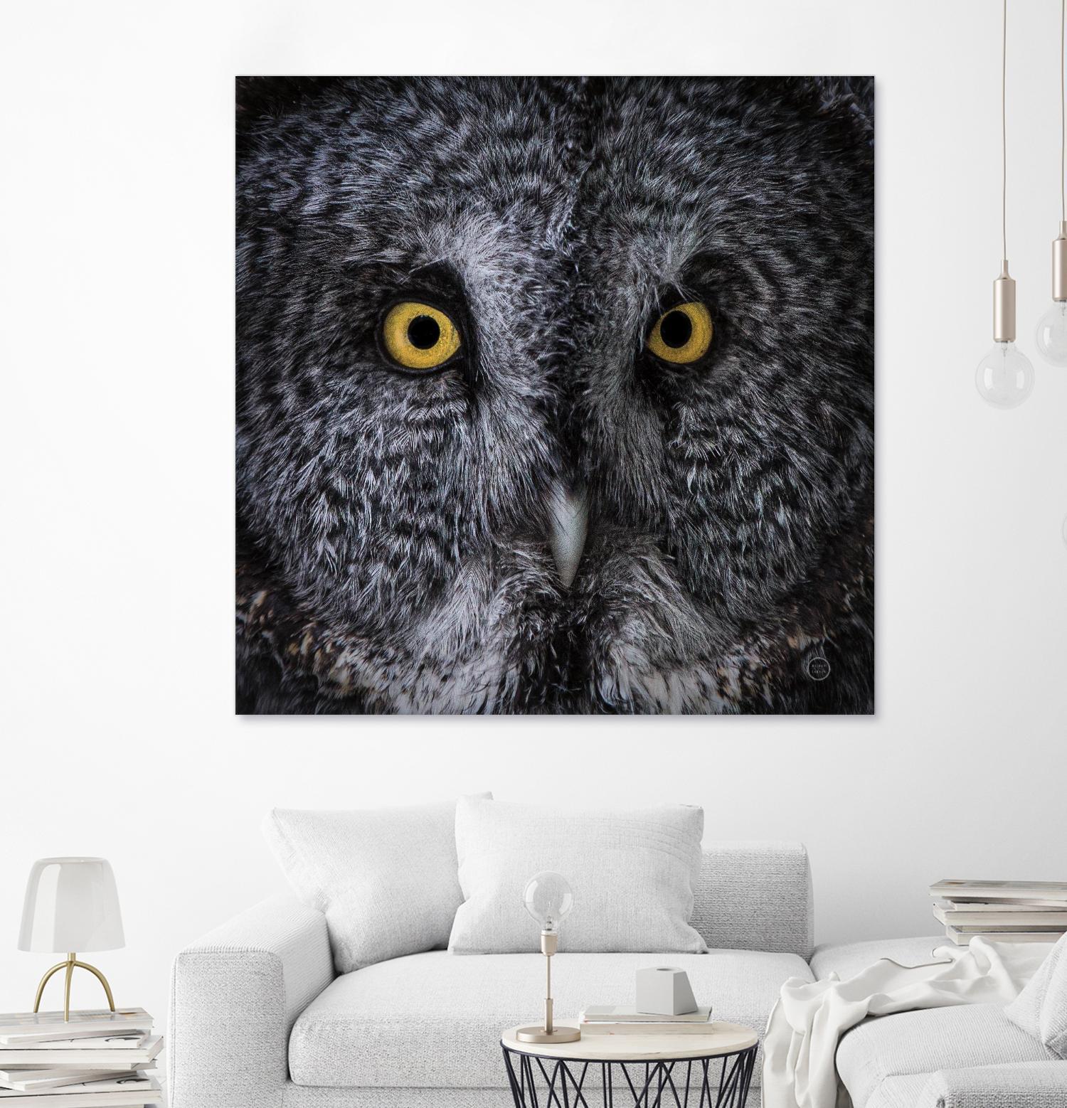 Great Grey Owl by Nathan Larson on GIANT ART - animals animals