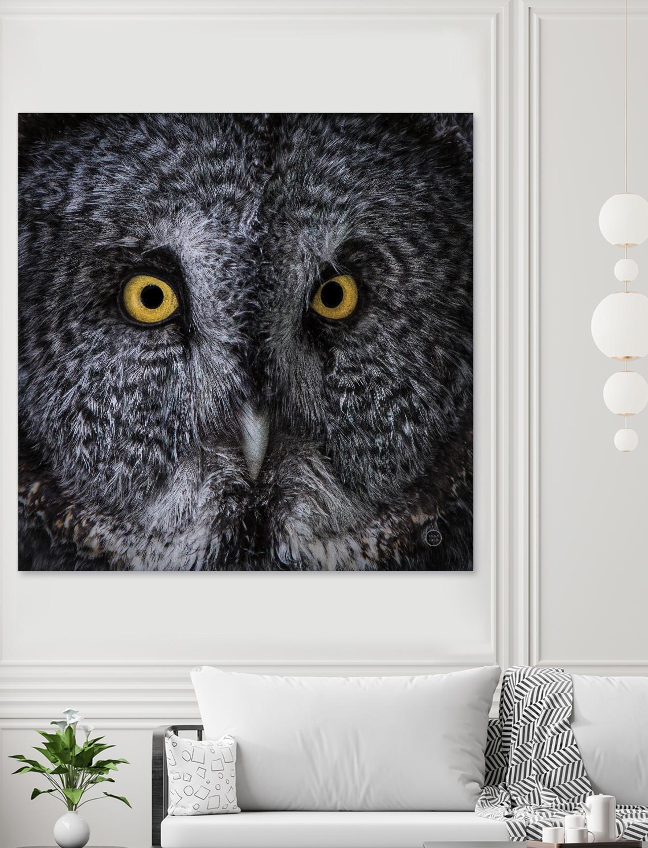 Great Grey Owl by Nathan Larson on GIANT ART - animals animals