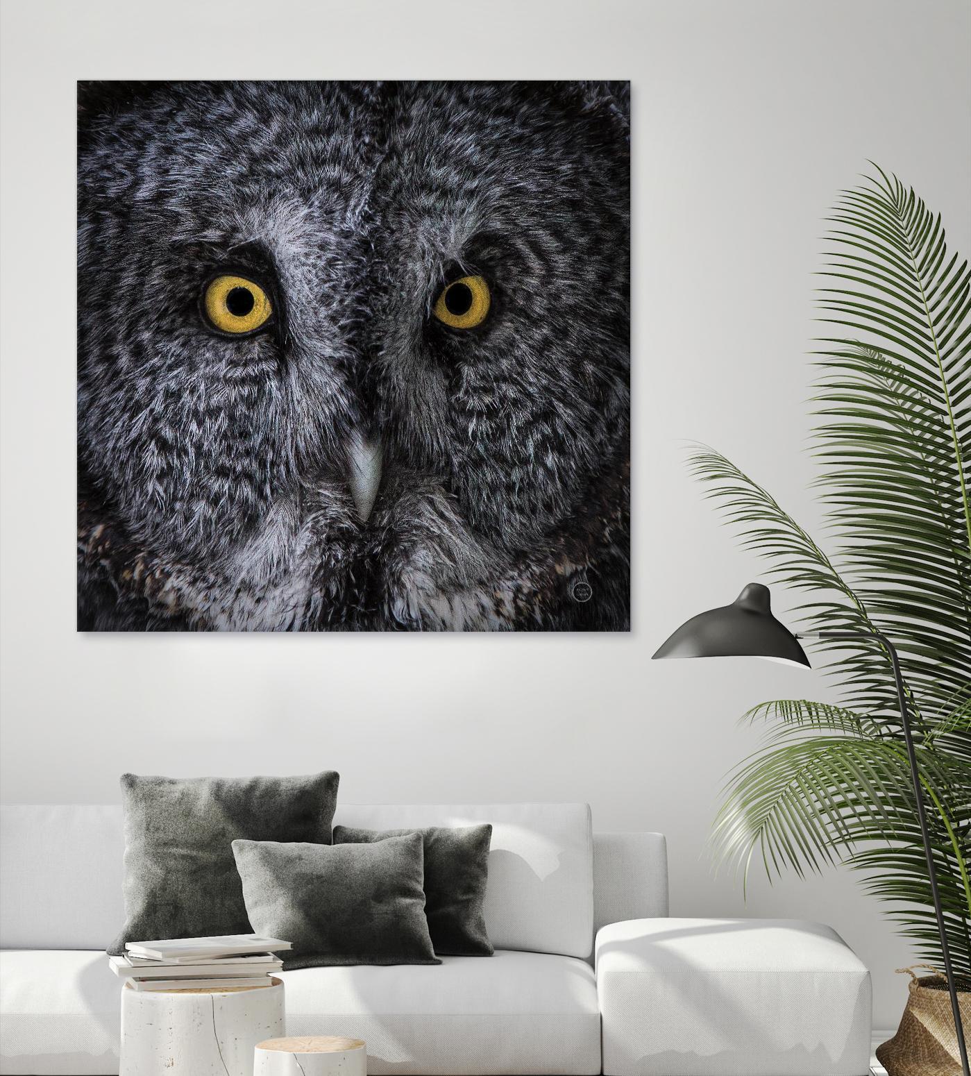 Great Grey Owl by Nathan Larson on GIANT ART - animals animals