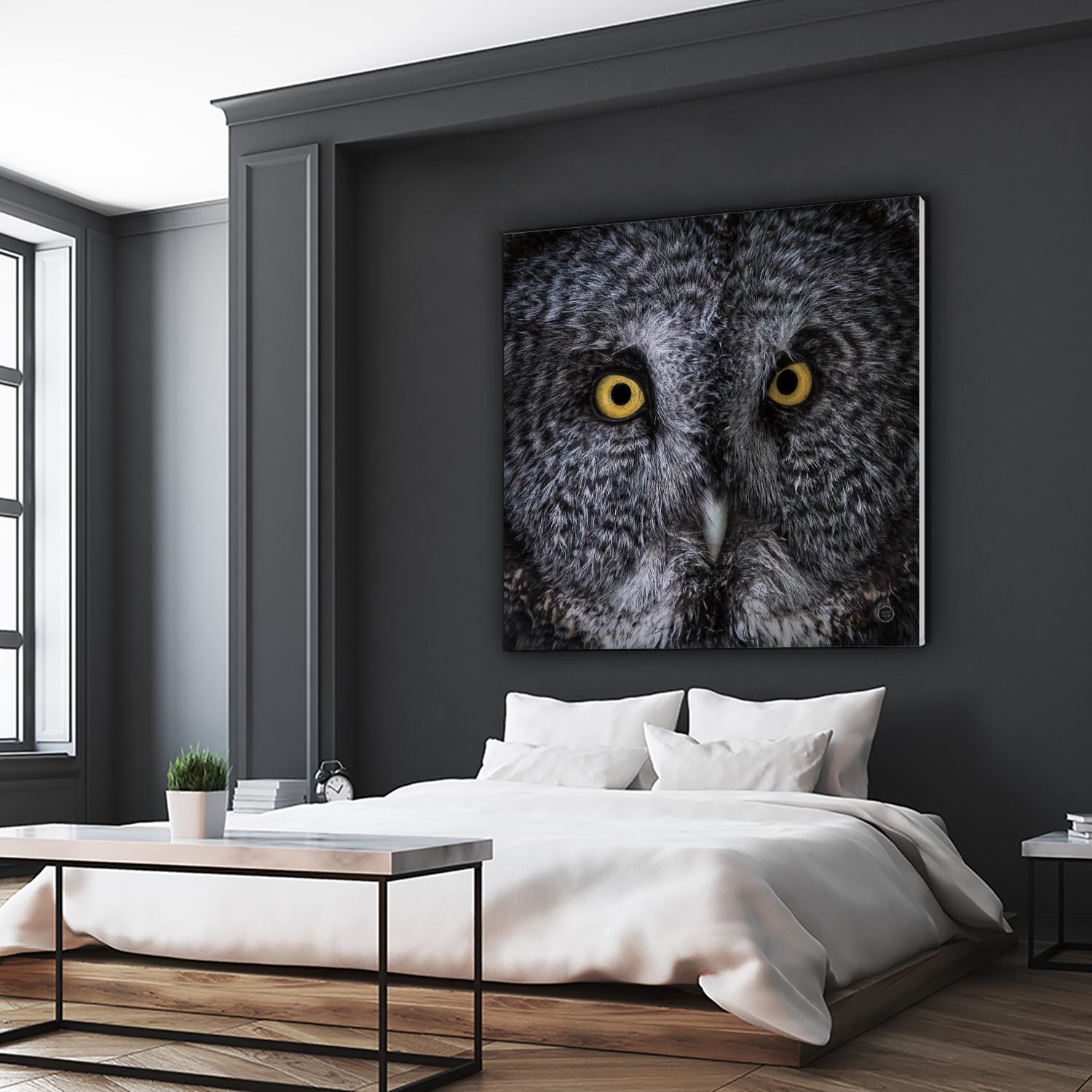 Great Grey Owl by Nathan Larson on GIANT ART - animals animals