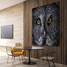 Great Grey Owl by Nathan Larson on GIANT ART - animals animals