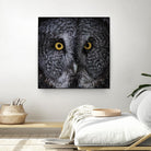 Great Grey Owl by Nathan Larson on GIANT ART - animals animals