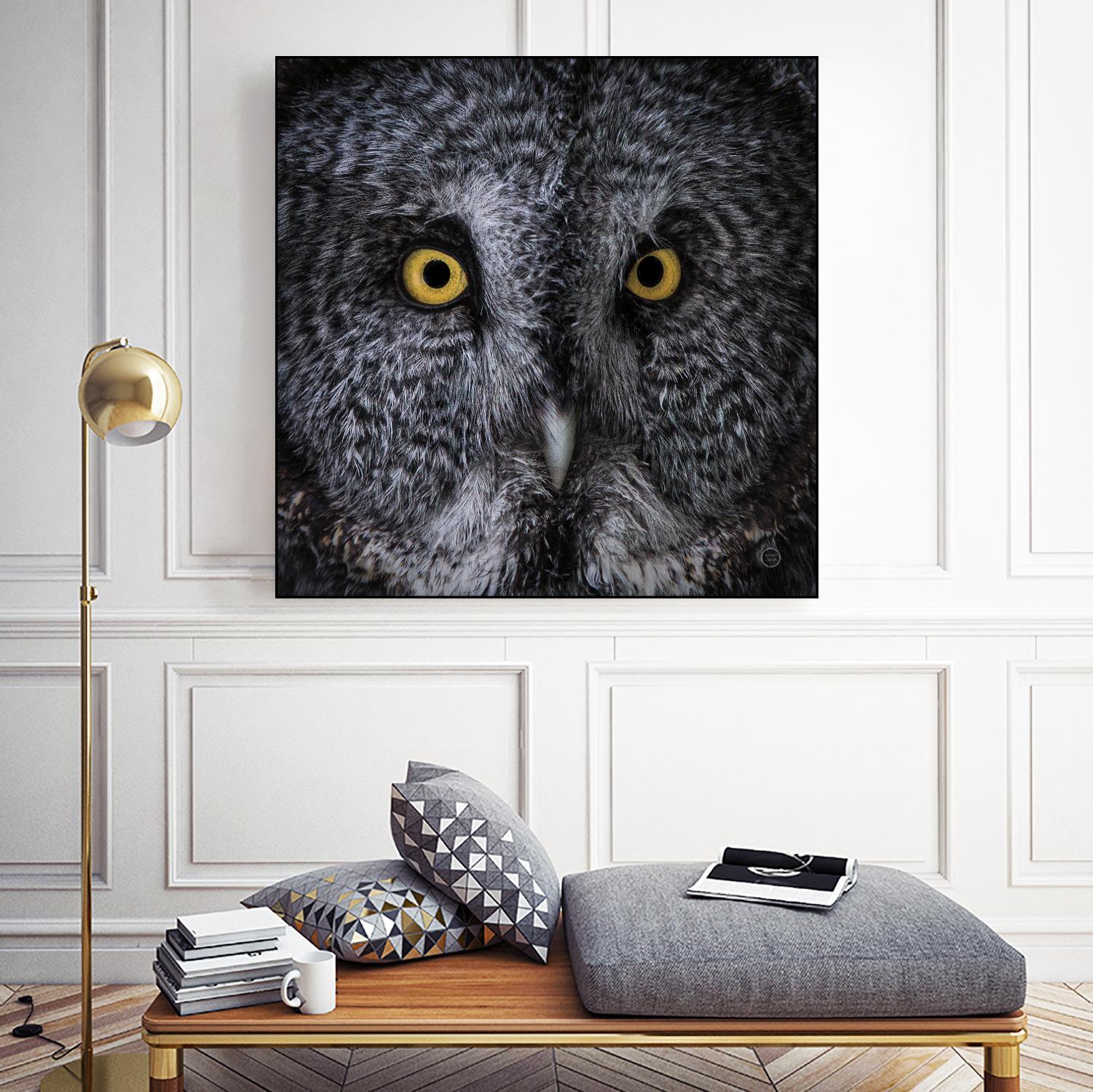 Great Grey Owl by Nathan Larson on GIANT ART - animals animals