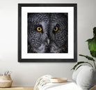 Great Grey Owl by Nathan Larson on GIANT ART - animals animals