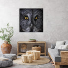 Great Grey Owl by Nathan Larson on GIANT ART - animals animals