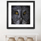 Great Grey Owl by Nathan Larson on GIANT ART - animals animals