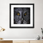 Great Grey Owl by Nathan Larson on GIANT ART - animals animals