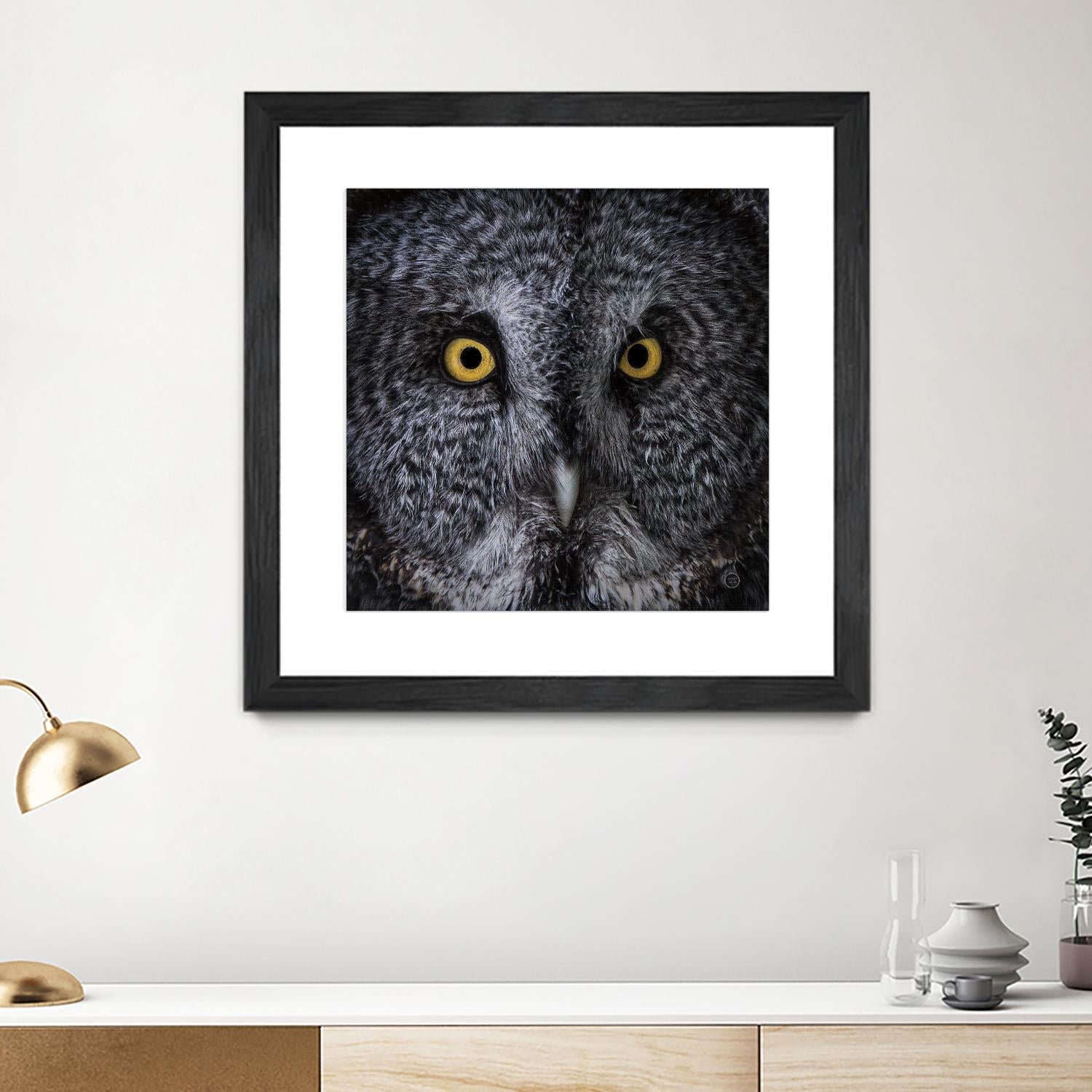 Great Grey Owl by Nathan Larson on GIANT ART - animals animals