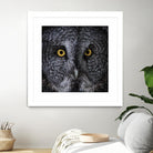 Great Grey Owl by Nathan Larson on GIANT ART - animals animals