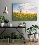 Spring Meadow by Aledanda on GIANT ART - blue flowers flowers