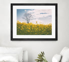 Spring Meadow by Aledanda on GIANT ART - blue flowers flowers