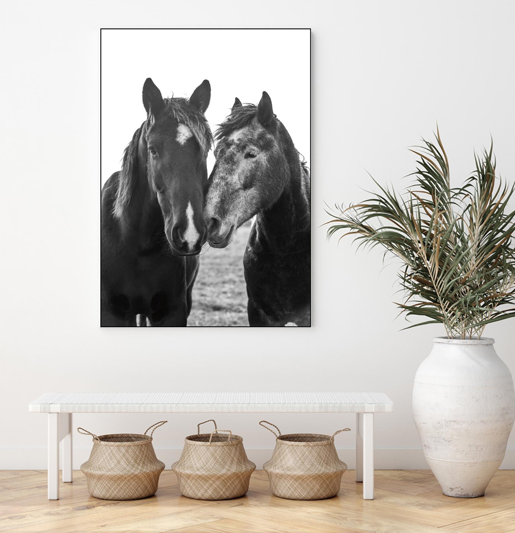 Good Friends Mane by Aledanda on GIANT ART - animals amish horses