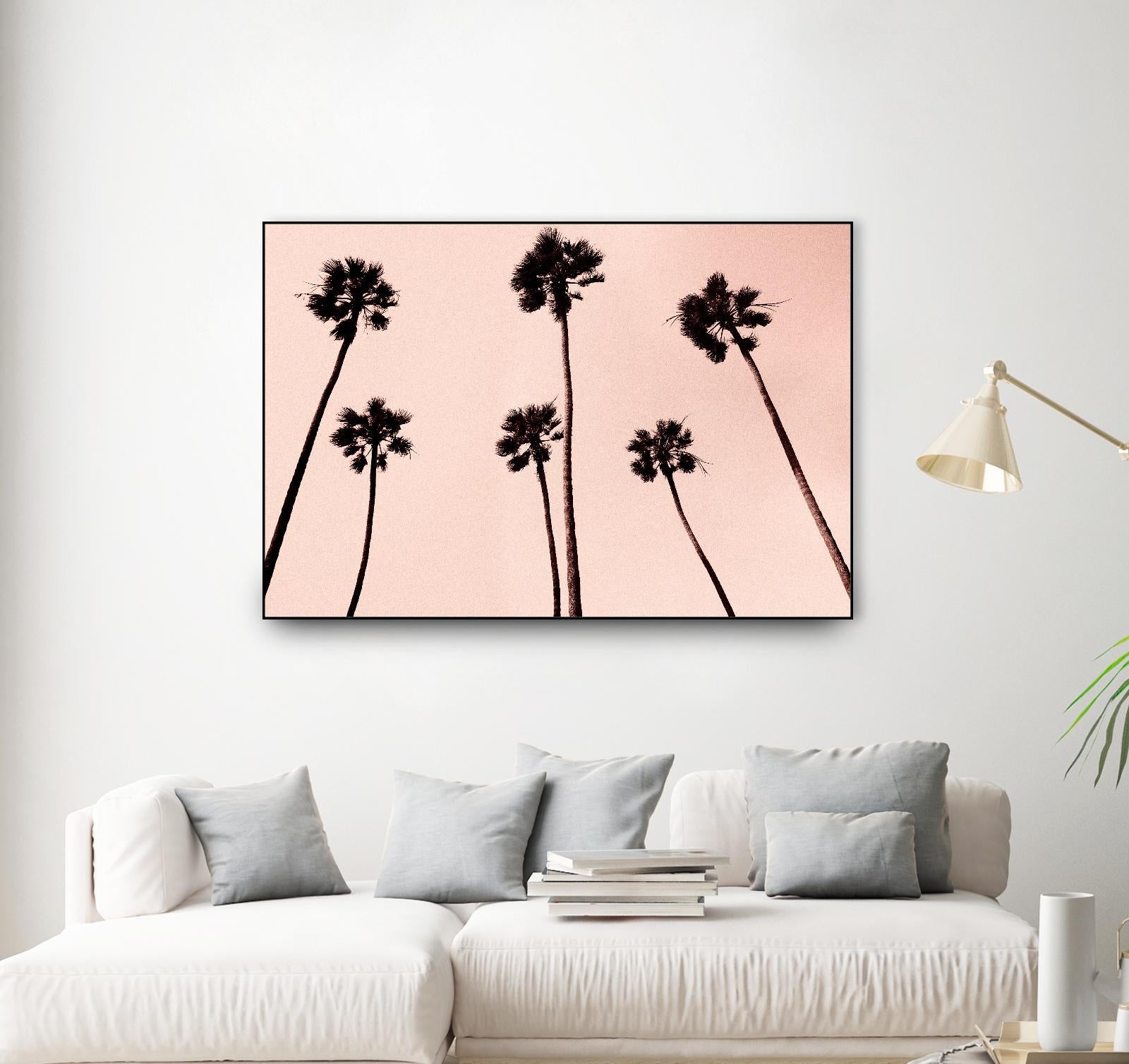Palm Trees 1997 Copper by Erik Asla on GIANT ART - multicolor photography; contemporary