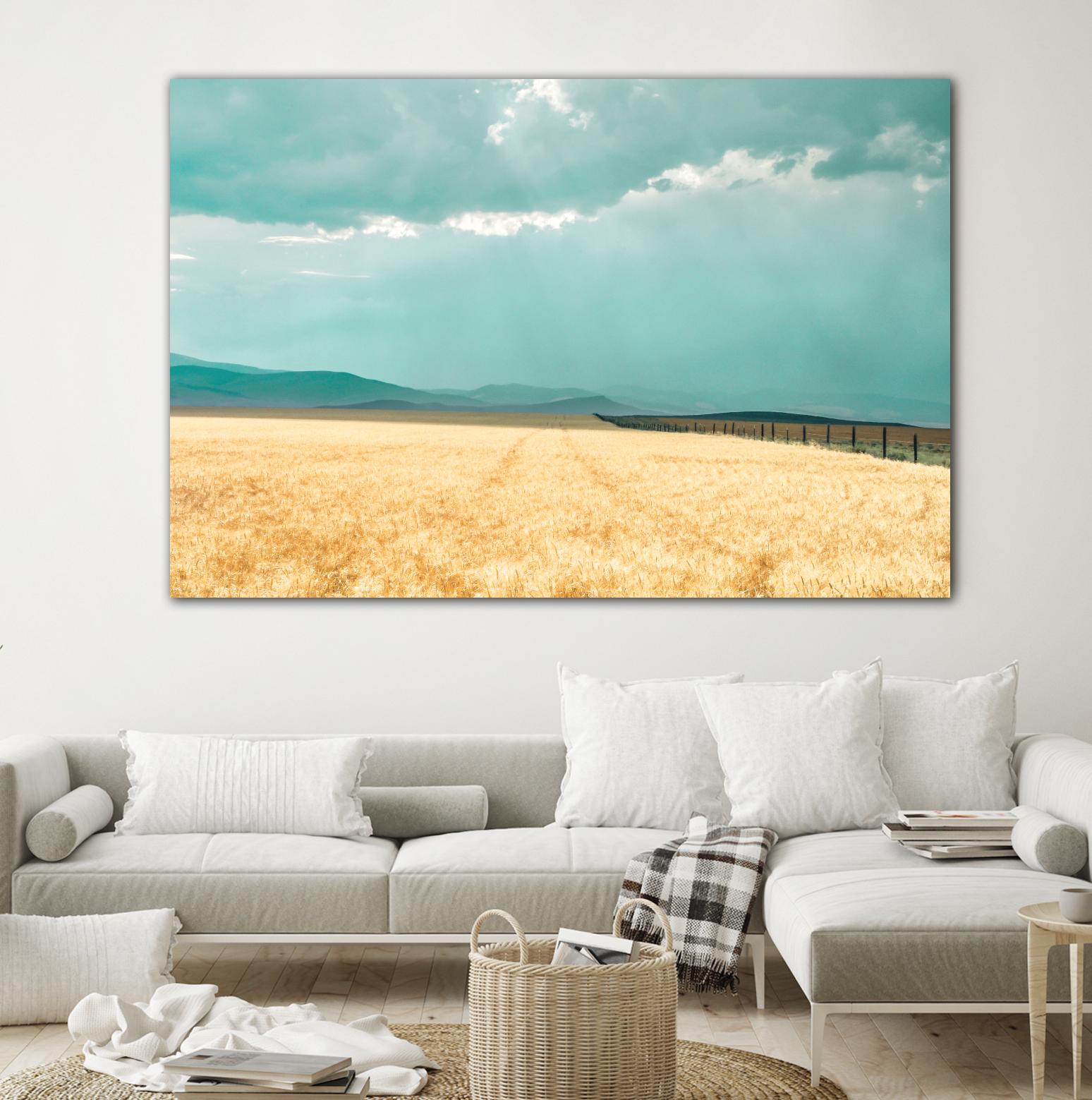 Harvest Shadow by Annie Bailey Art on GIANT ART - blue,beige landscapes, photography, farms, hills