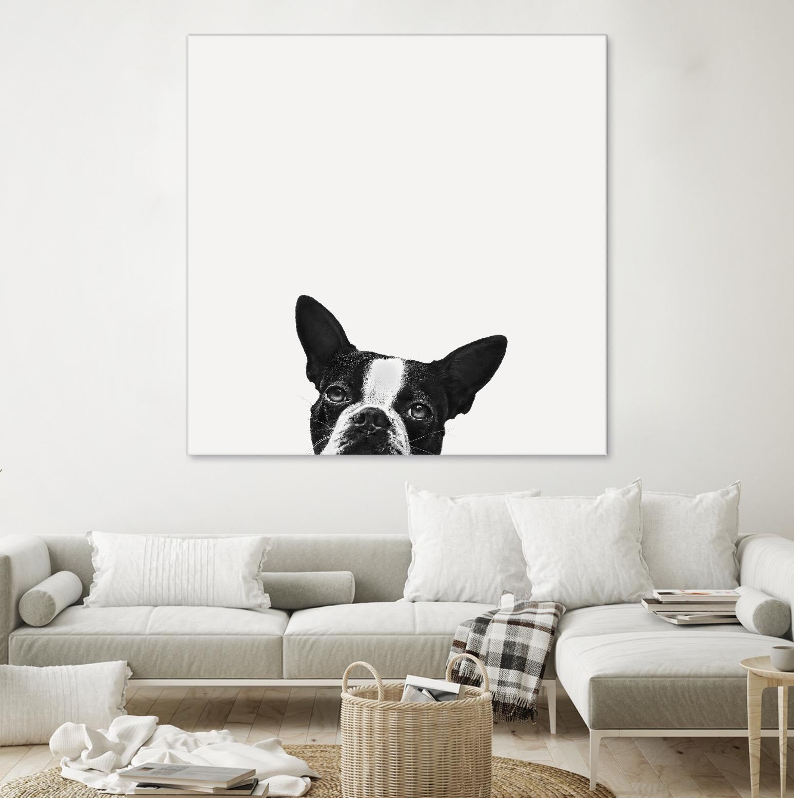 Loyalty by Jon Bertelli on GIANT ART - black,white photography, animals, dogs, humor