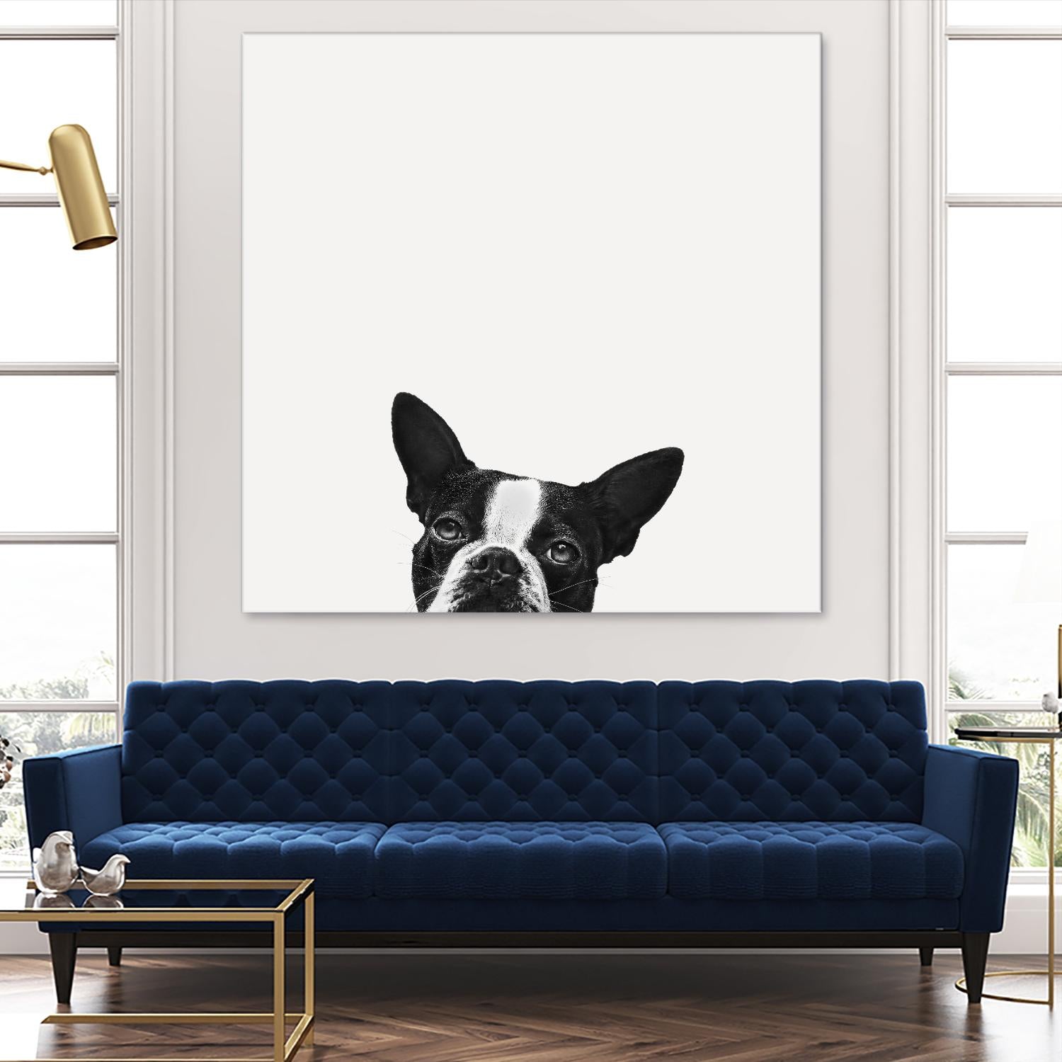 Loyalty by Jon Bertelli on GIANT ART - black,white photography, animals, dogs, humor