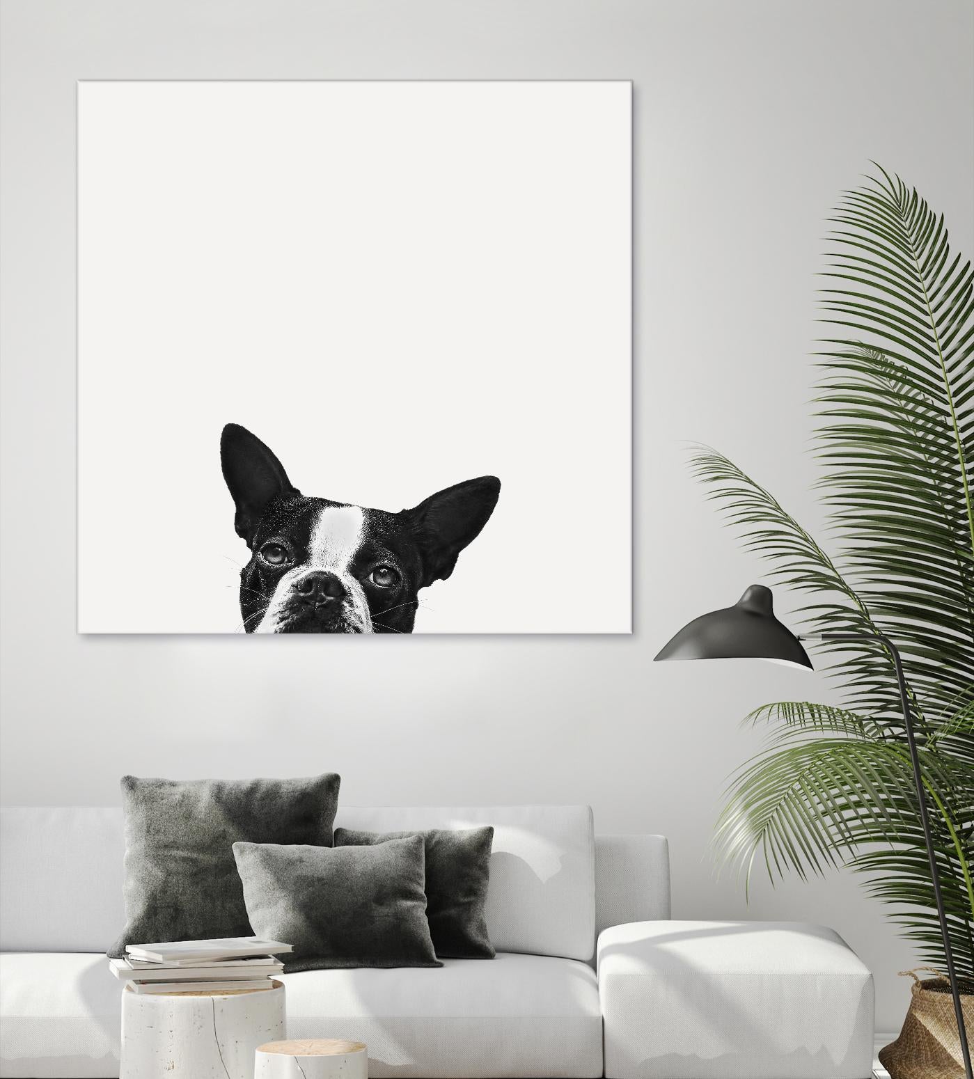 Loyalty by Jon Bertelli on GIANT ART - black,white photography, animals, dogs, humor