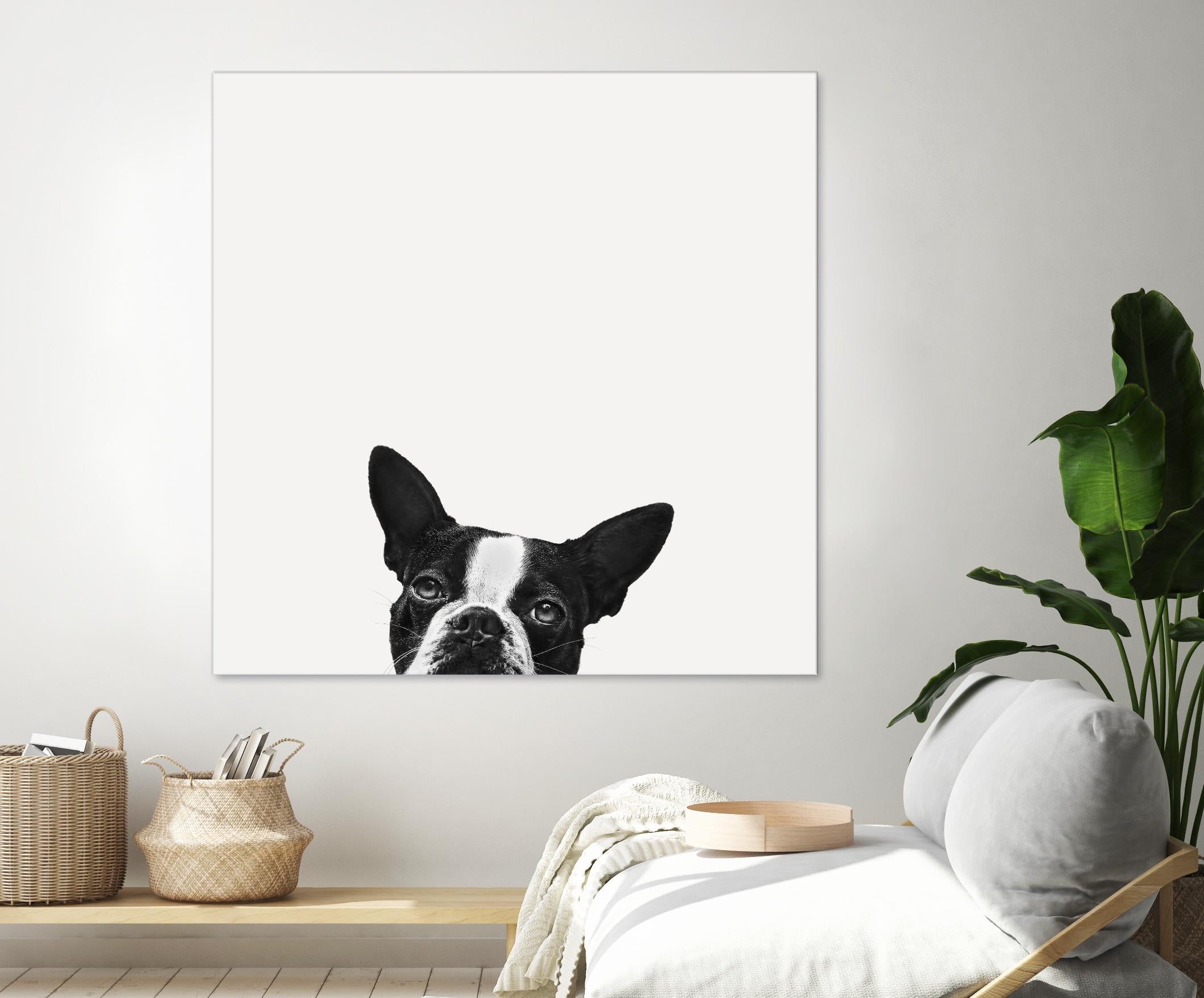 Loyalty by Jon Bertelli on GIANT ART - black,white photography, animals, dogs, humor