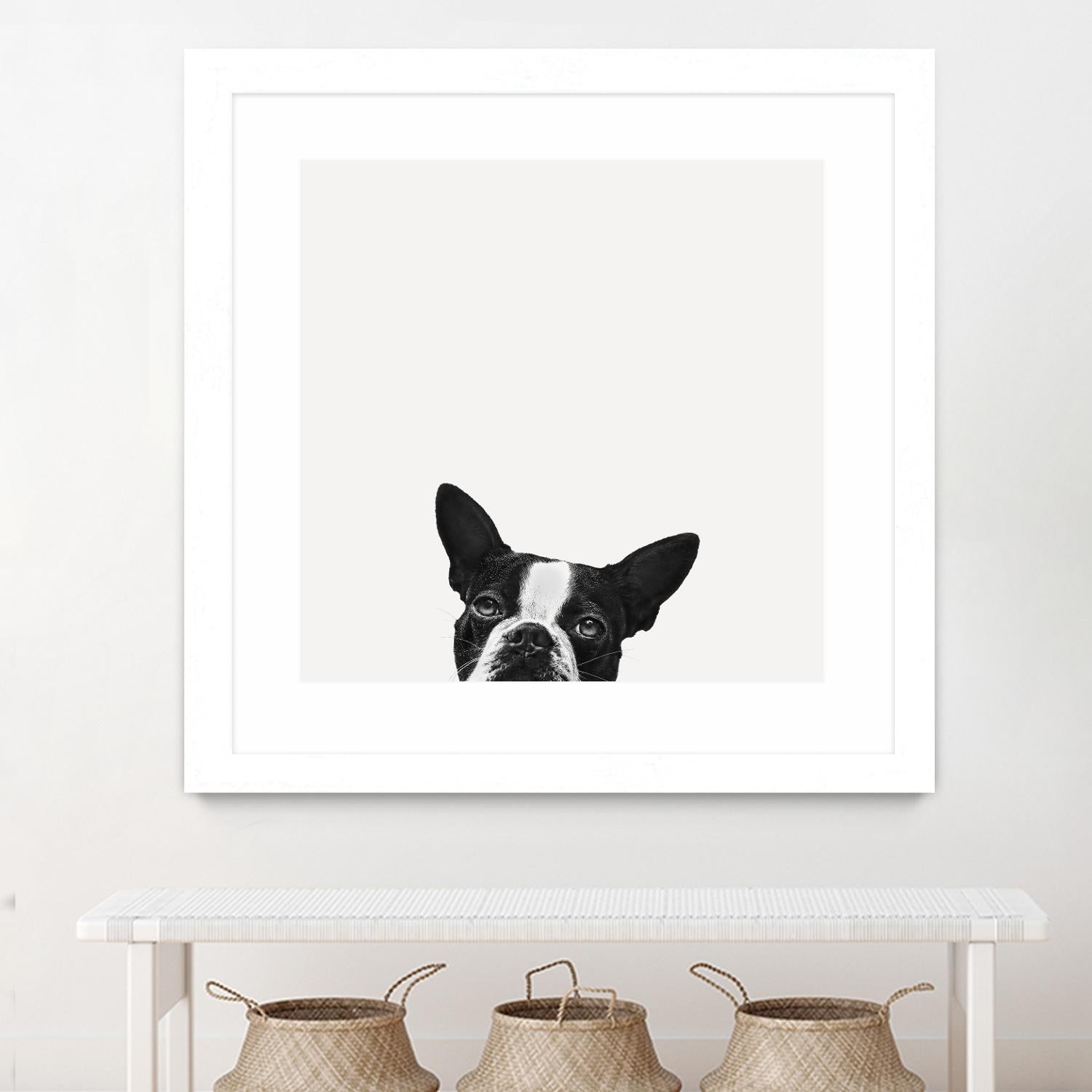 Loyalty by Jon Bertelli on GIANT ART - black,white photography, animals, dogs, humor