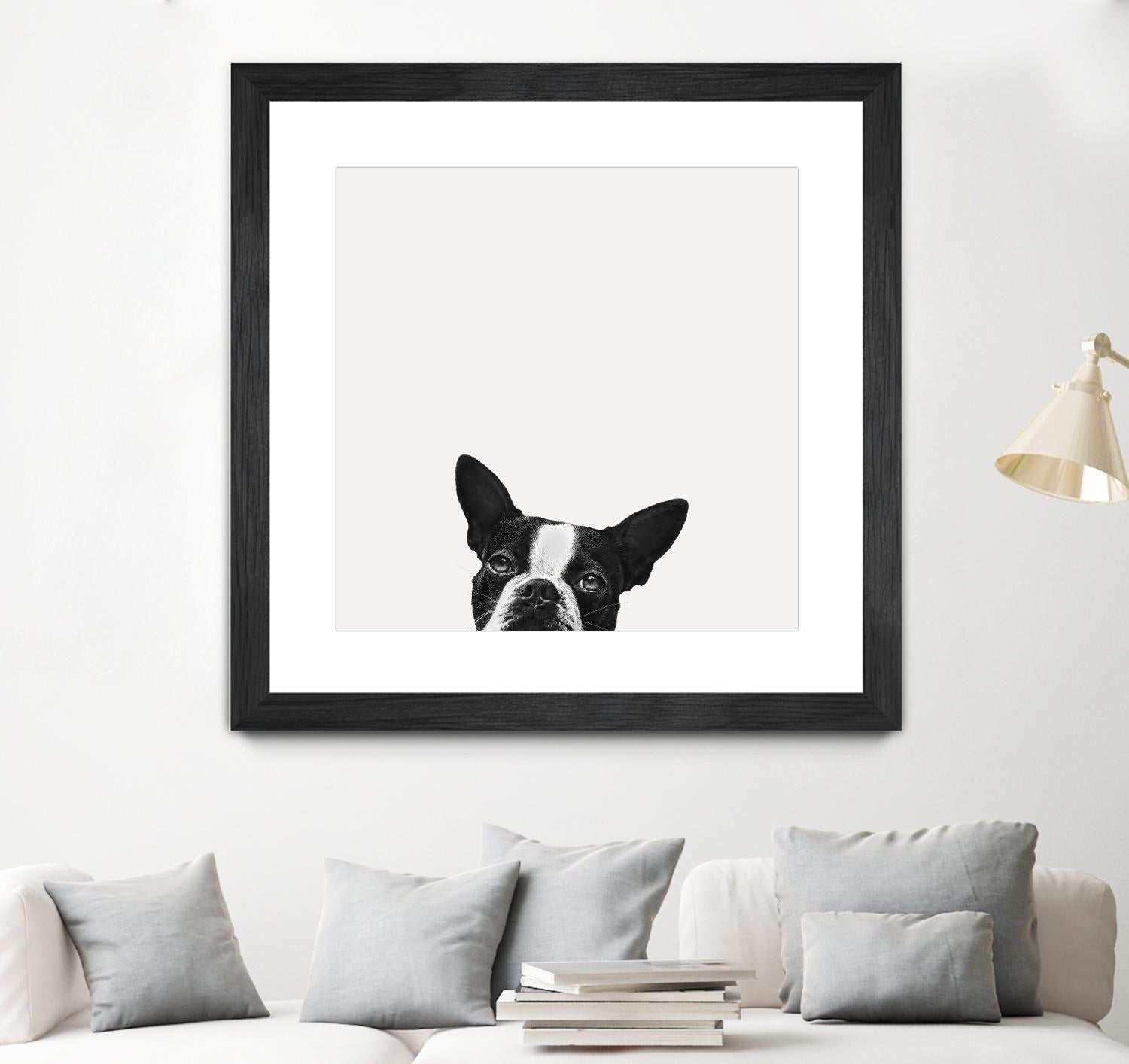 Loyalty by Jon Bertelli on GIANT ART - black,white photography, animals, dogs, humor