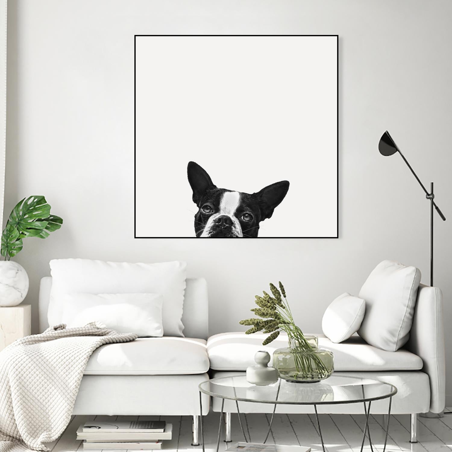 Loyalty by Jon Bertelli on GIANT ART - black,white photography, animals, dogs, humor
