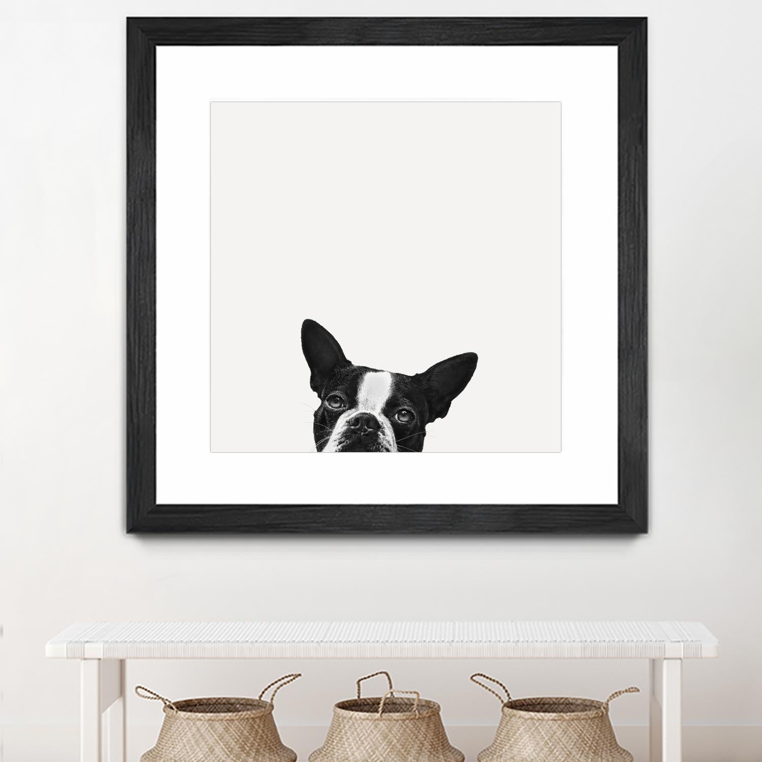 Loyalty by Jon Bertelli on GIANT ART - black,white photography, animals, dogs, humor