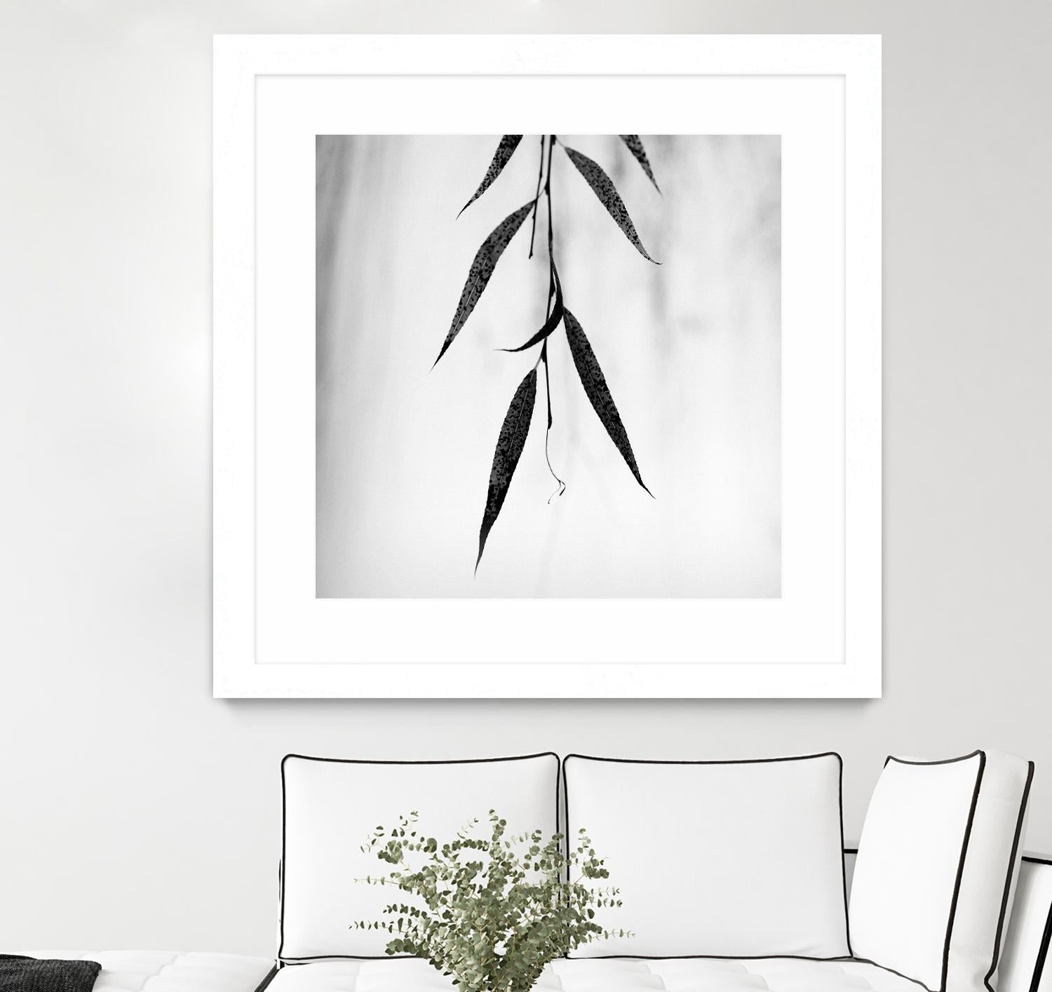 Willow Print No. 2 by Nicholas Bell on GIANT ART - multicolor photography