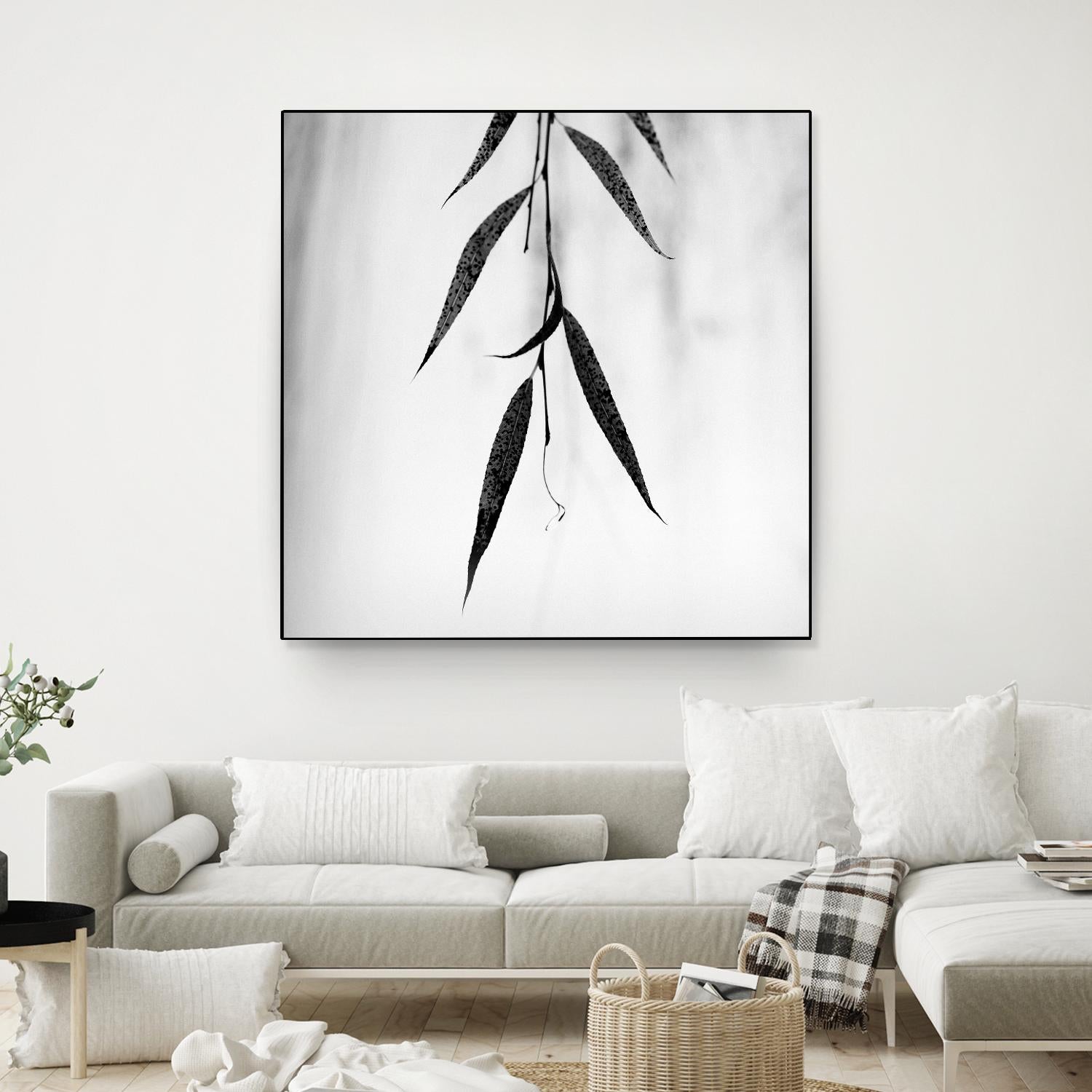 Willow Print No. 2 by Nicholas Bell on GIANT ART - multicolor photography