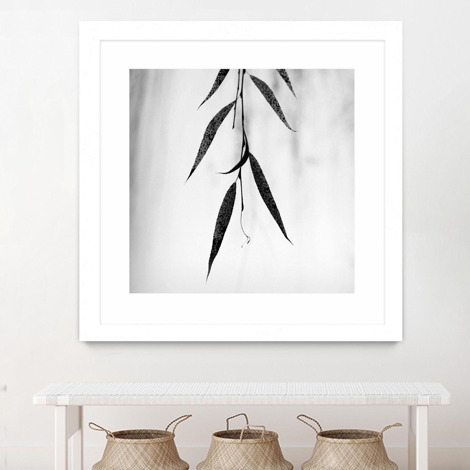 Willow Print No. 2 by Nicholas Bell on GIANT ART - multicolor photography