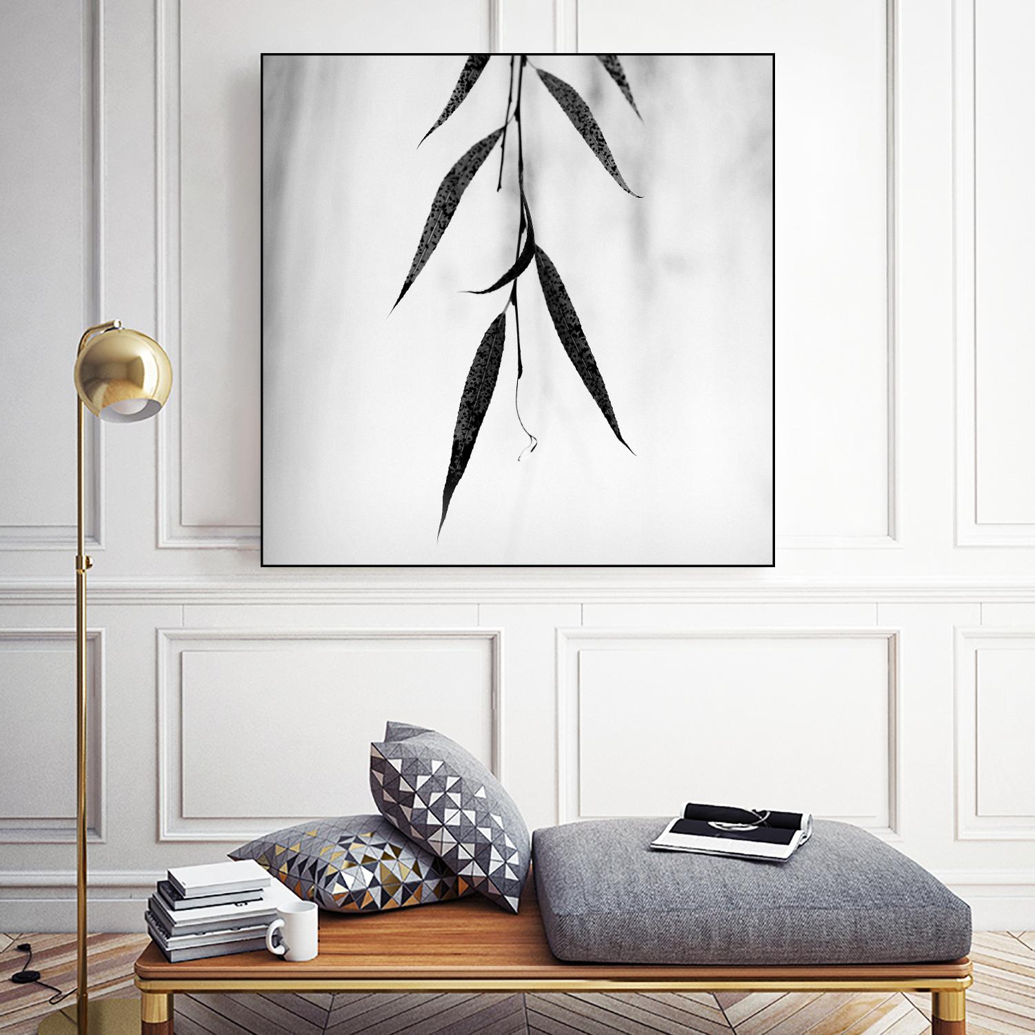 Willow Print No. 2 by Nicholas Bell on GIANT ART - multicolor photography