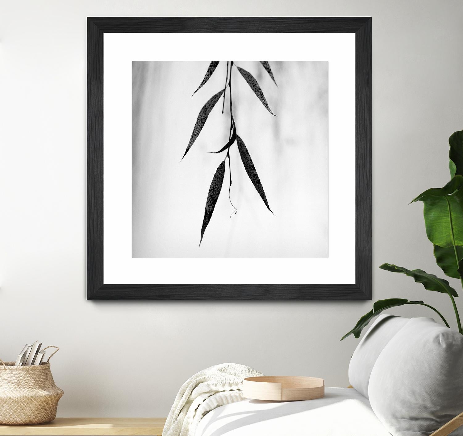 Willow Print No. 2 by Nicholas Bell on GIANT ART - multicolor photography