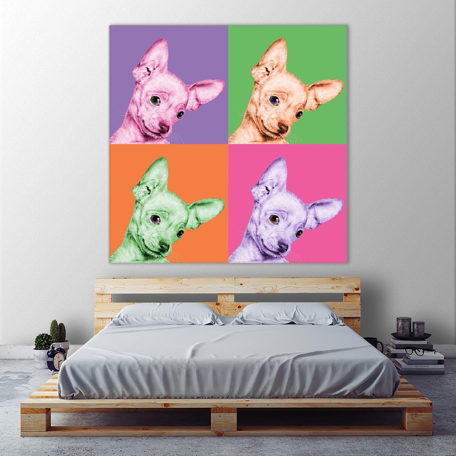 Sweet Chihuahua Pop by Jon Bertelli on GIANT ART - multicolor animals; photography; contemporary