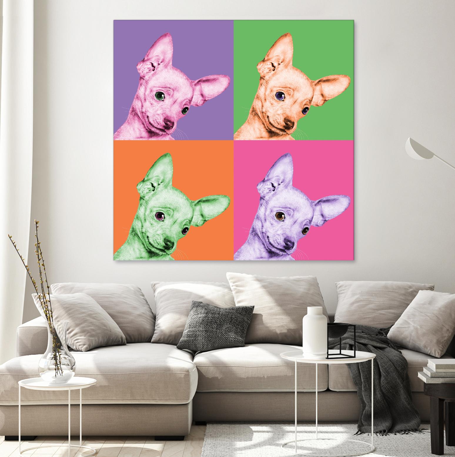 Sweet Chihuahua Pop by Jon Bertelli on GIANT ART - multicolor animals; photography; contemporary