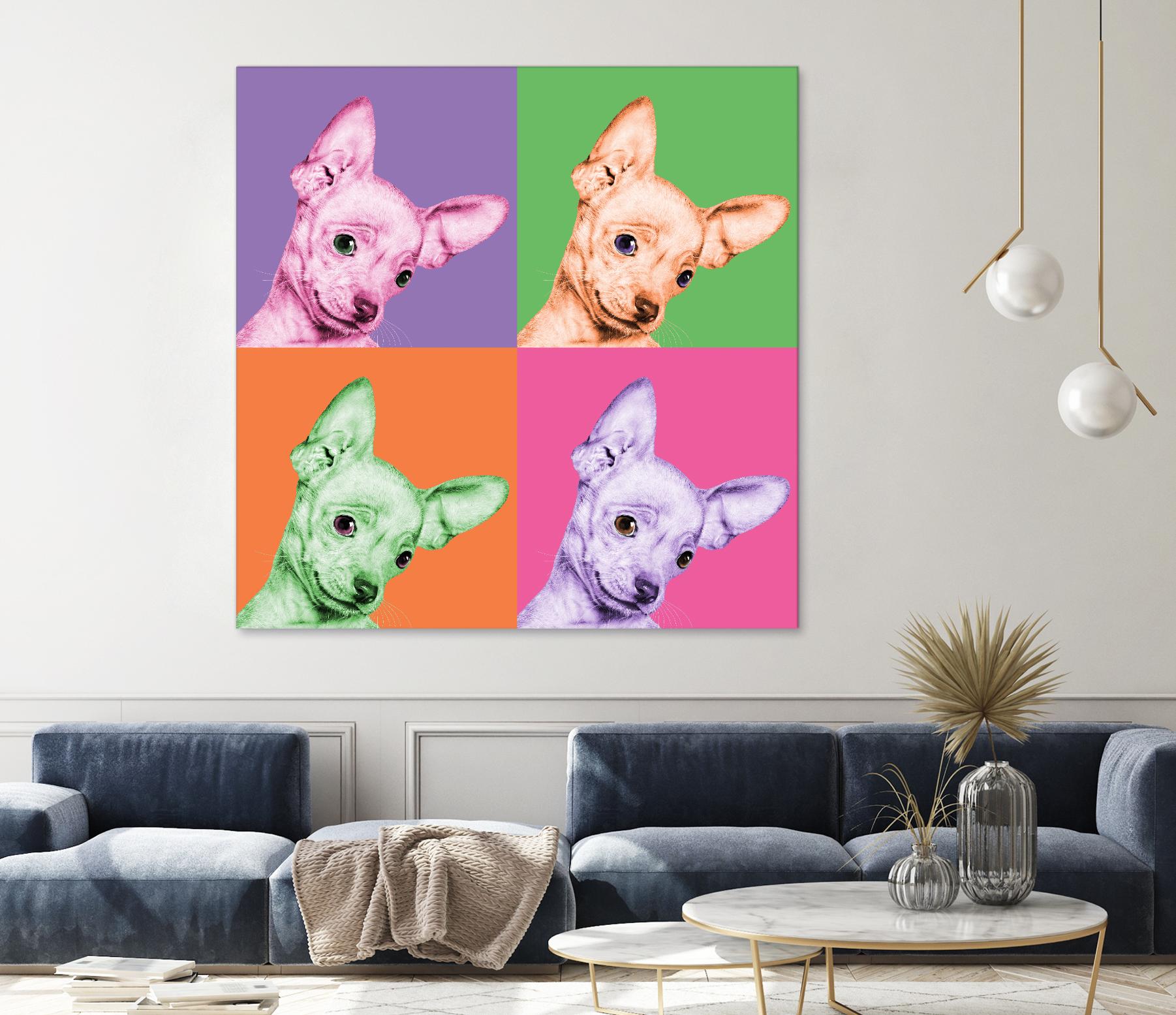 Sweet Chihuahua Pop by Jon Bertelli on GIANT ART - multicolor animals; photography; contemporary