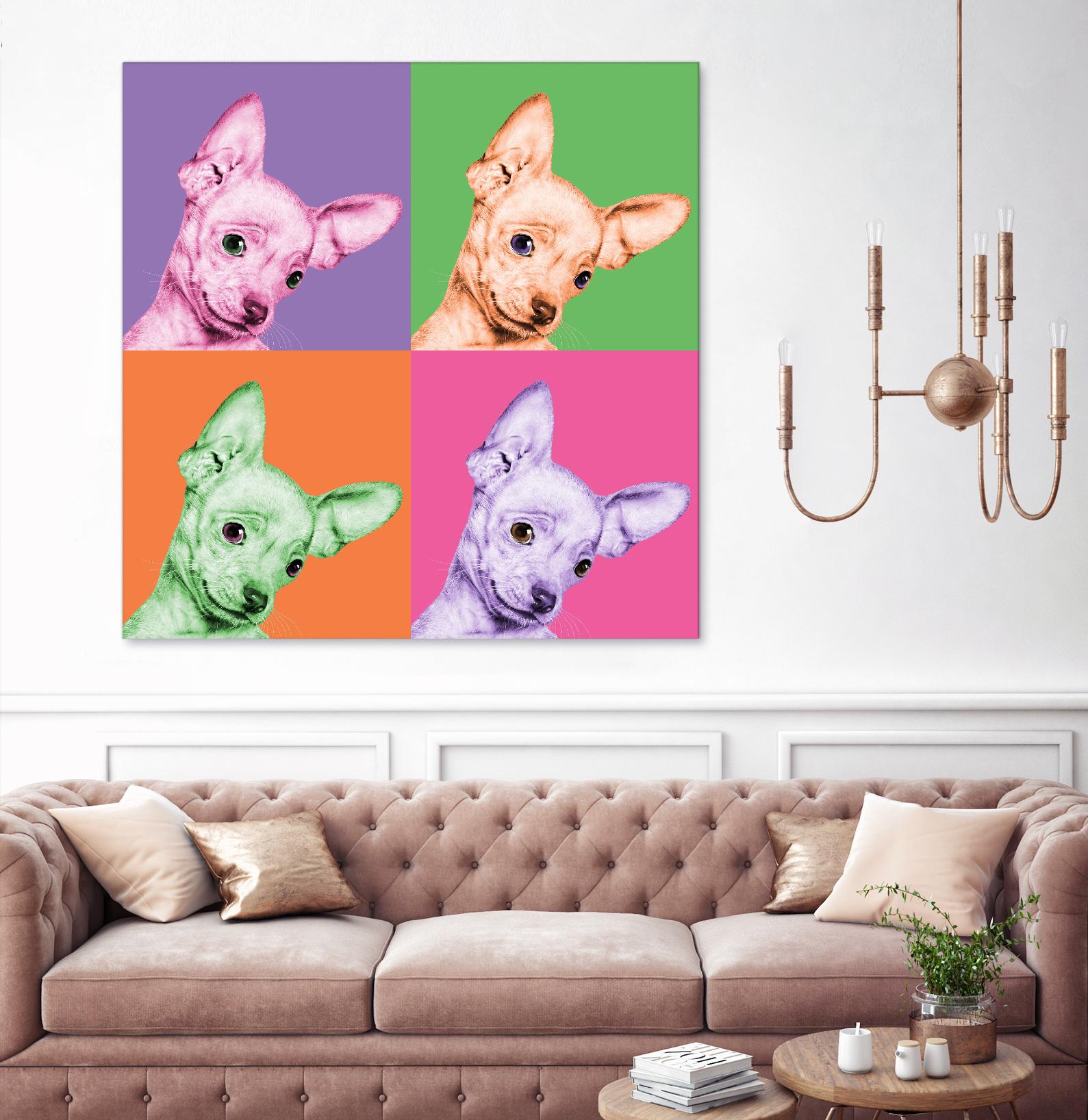 Sweet Chihuahua Pop by Jon Bertelli on GIANT ART - multicolor animals; photography; contemporary