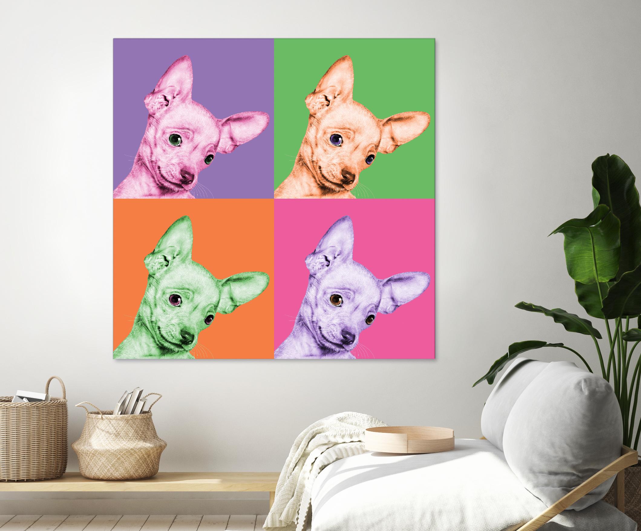 Sweet Chihuahua Pop by Jon Bertelli on GIANT ART - multicolor animals; photography; contemporary