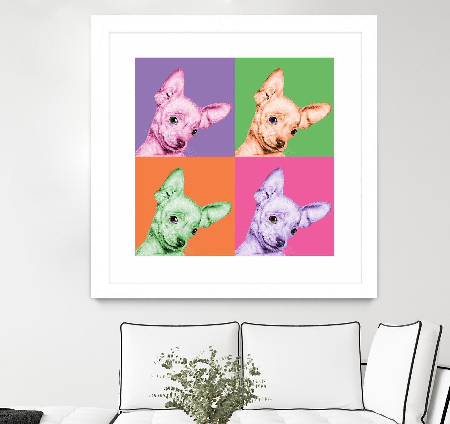Sweet Chihuahua Pop by Jon Bertelli on GIANT ART - multicolor animals; photography; contemporary