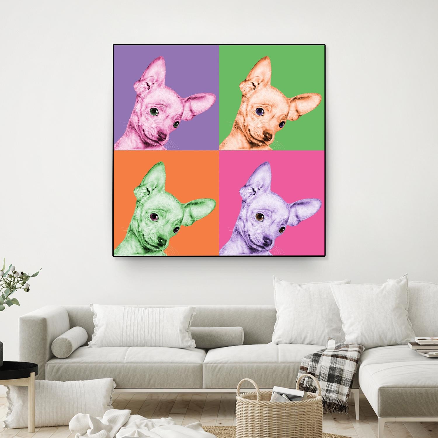 Sweet Chihuahua Pop by Jon Bertelli on GIANT ART - multicolor animals; photography; contemporary
