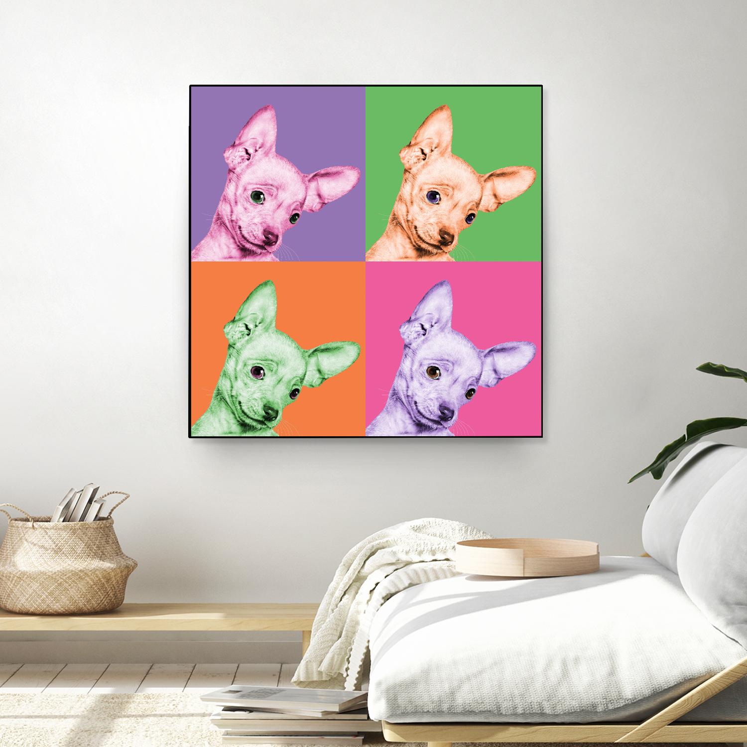 Sweet Chihuahua Pop by Jon Bertelli on GIANT ART - multicolor animals; photography; contemporary