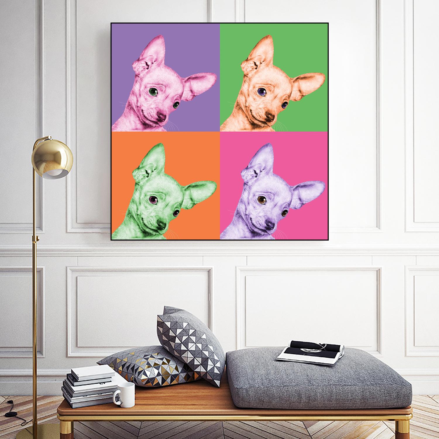 Sweet Chihuahua Pop by Jon Bertelli on GIANT ART - multicolor animals; photography; contemporary