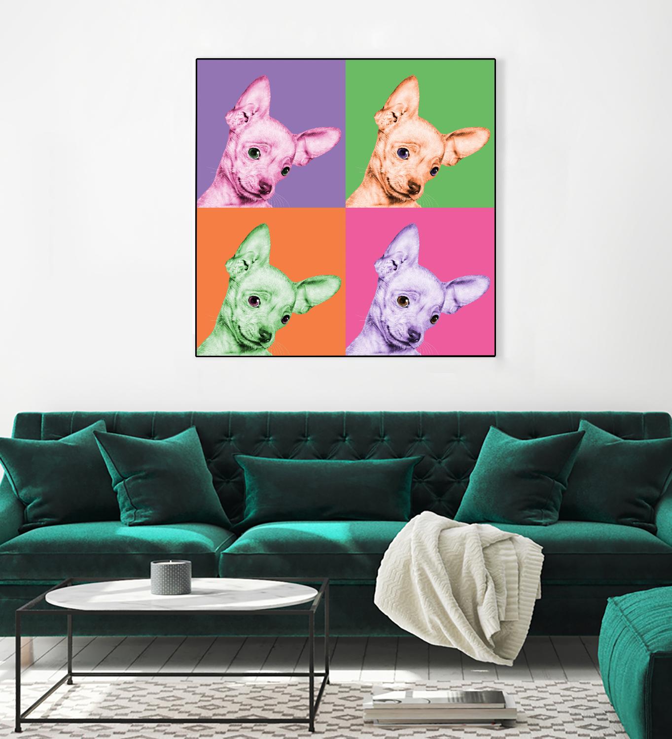 Sweet Chihuahua Pop by Jon Bertelli on GIANT ART - multicolor animals; photography; contemporary