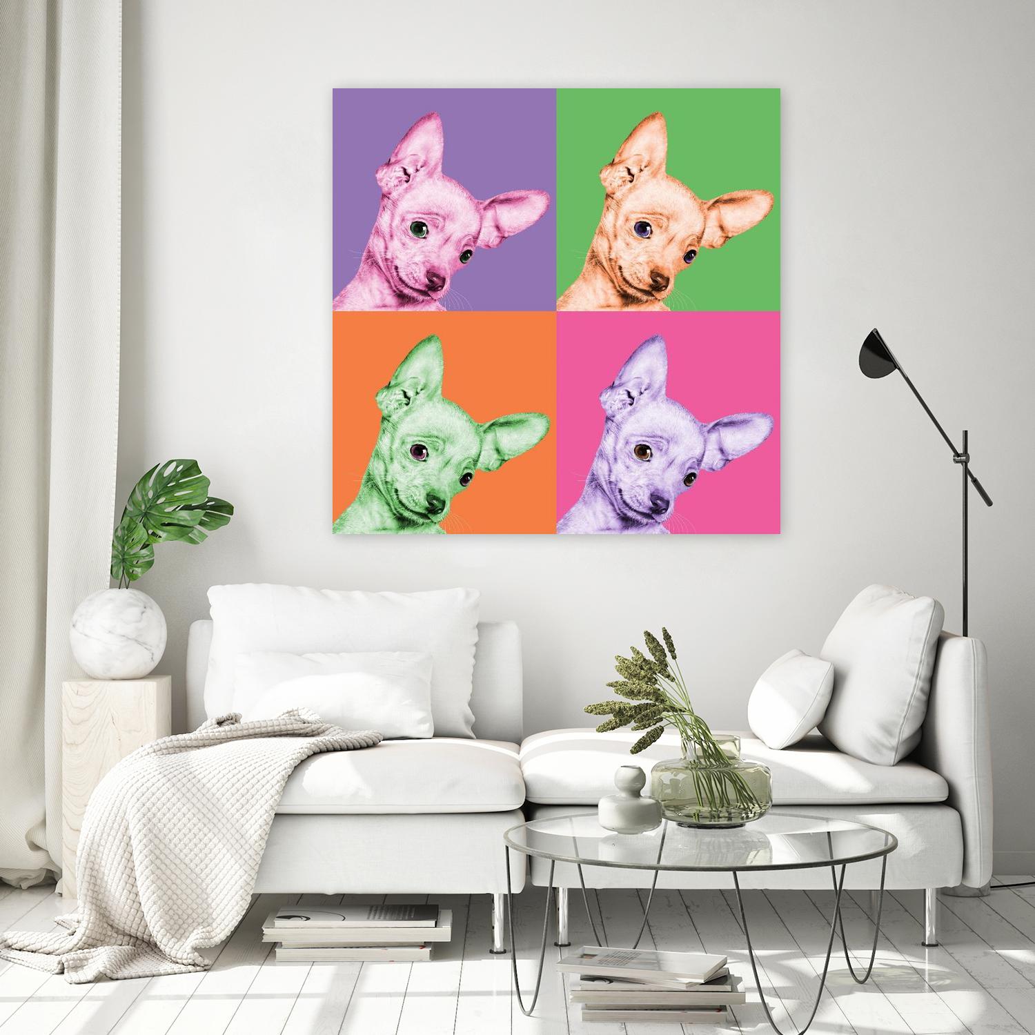 Sweet Chihuahua Pop by Jon Bertelli on GIANT ART - multicolor animals; photography; contemporary