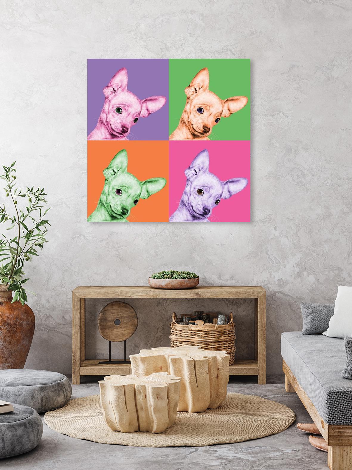 Sweet Chihuahua Pop by Jon Bertelli on GIANT ART - multicolor animals; photography; contemporary