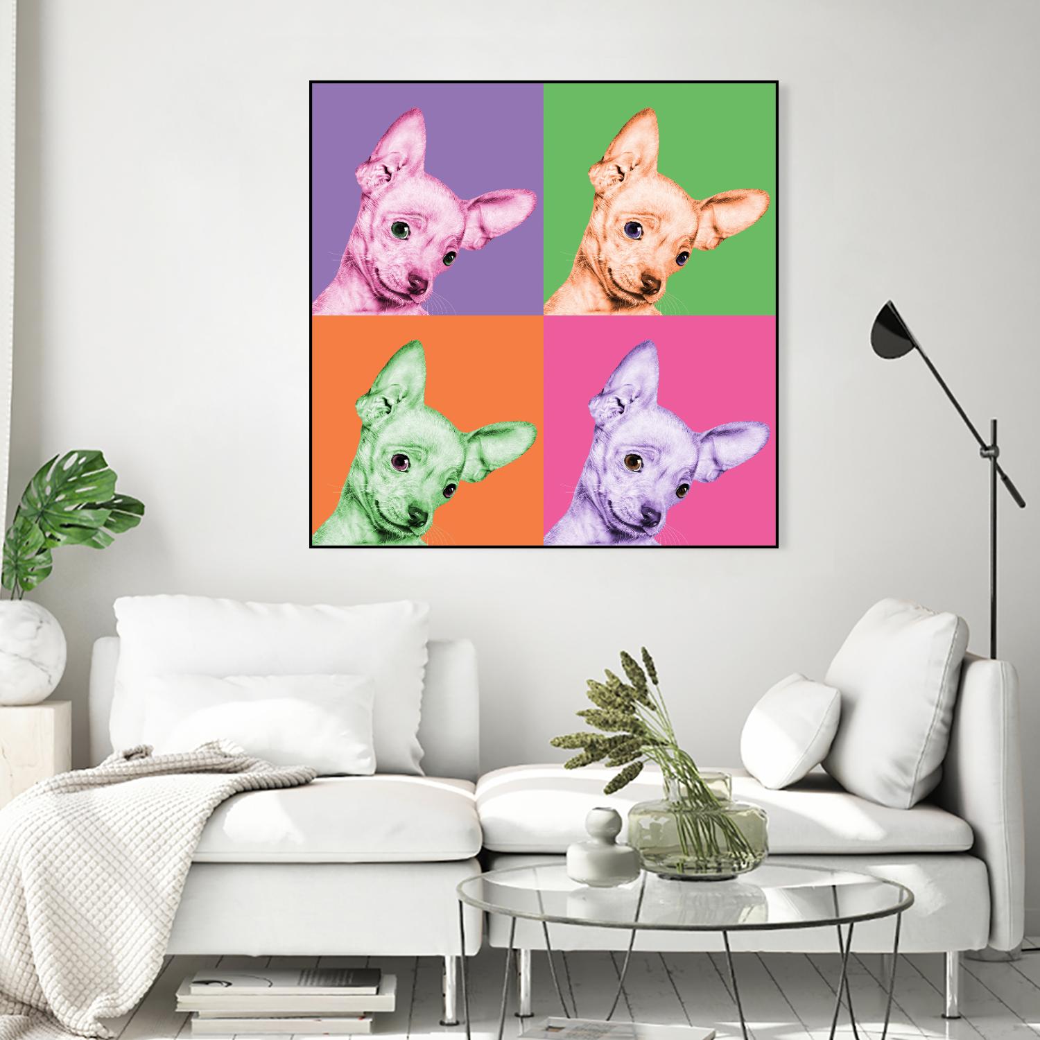 Sweet Chihuahua Pop by Jon Bertelli on GIANT ART - multicolor animals; photography; contemporary