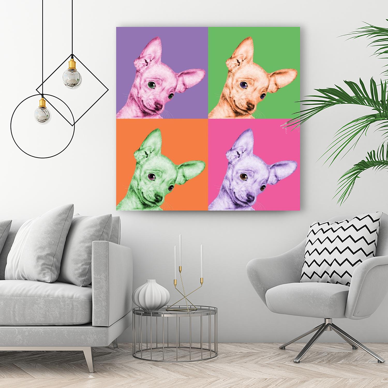 Sweet Chihuahua Pop by Jon Bertelli on GIANT ART - multicolor animals; photography; contemporary