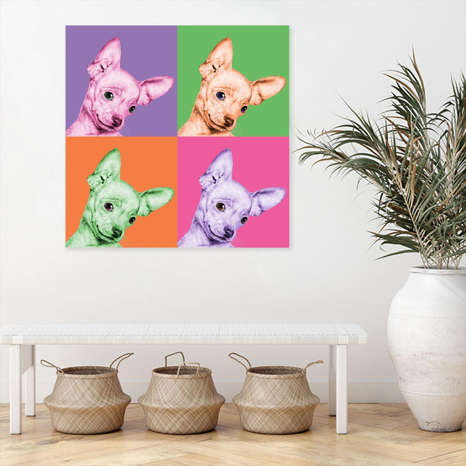 Sweet Chihuahua Pop by Jon Bertelli on GIANT ART - multicolor animals; photography; contemporary