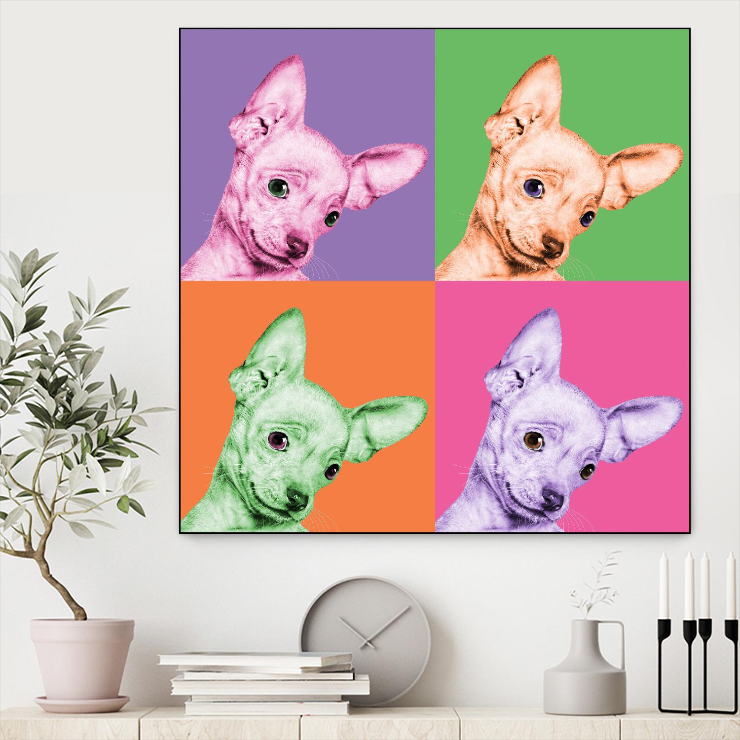 Sweet Chihuahua Pop by Jon Bertelli on GIANT ART - multicolor animals; photography; contemporary