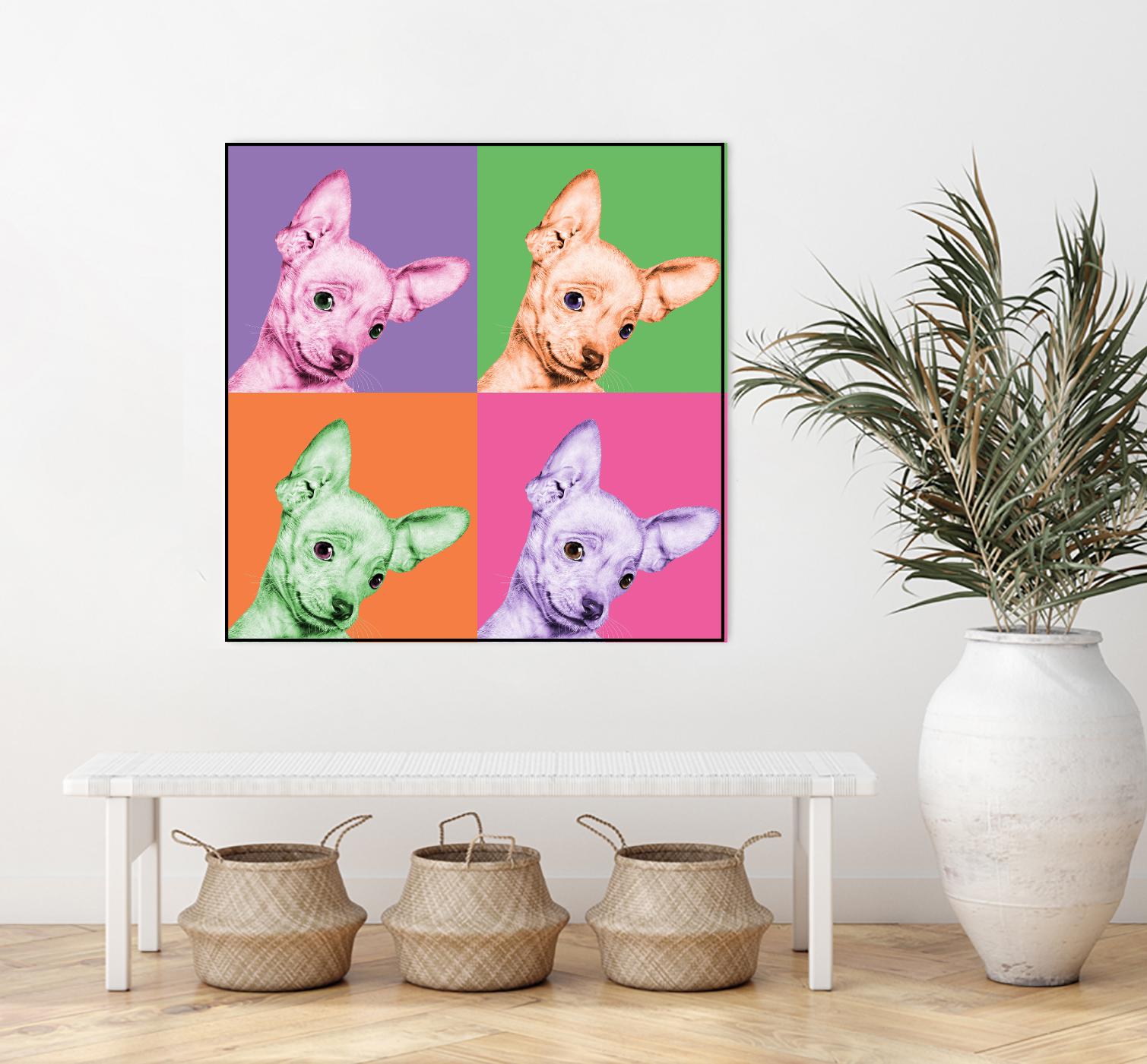 Sweet Chihuahua Pop by Jon Bertelli on GIANT ART - multicolor animals; photography; contemporary